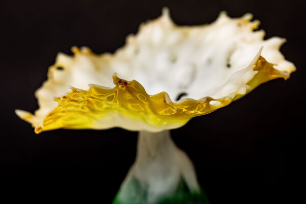 Magic Mushroom, by Verity Pulford - Image 4