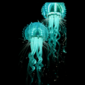 Hydra Jellyfish Sculptural Lighting